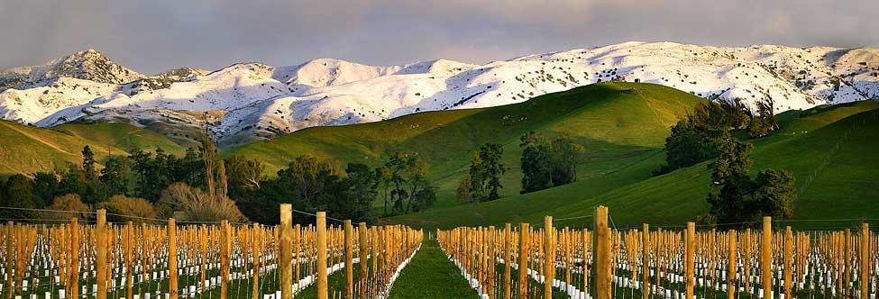 Marlborough Vintners Accommodation Blenheim Esterno foto