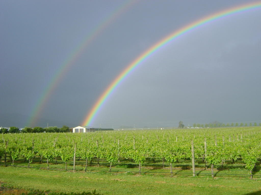 Marlborough Vintners Accommodation Blenheim Esterno foto