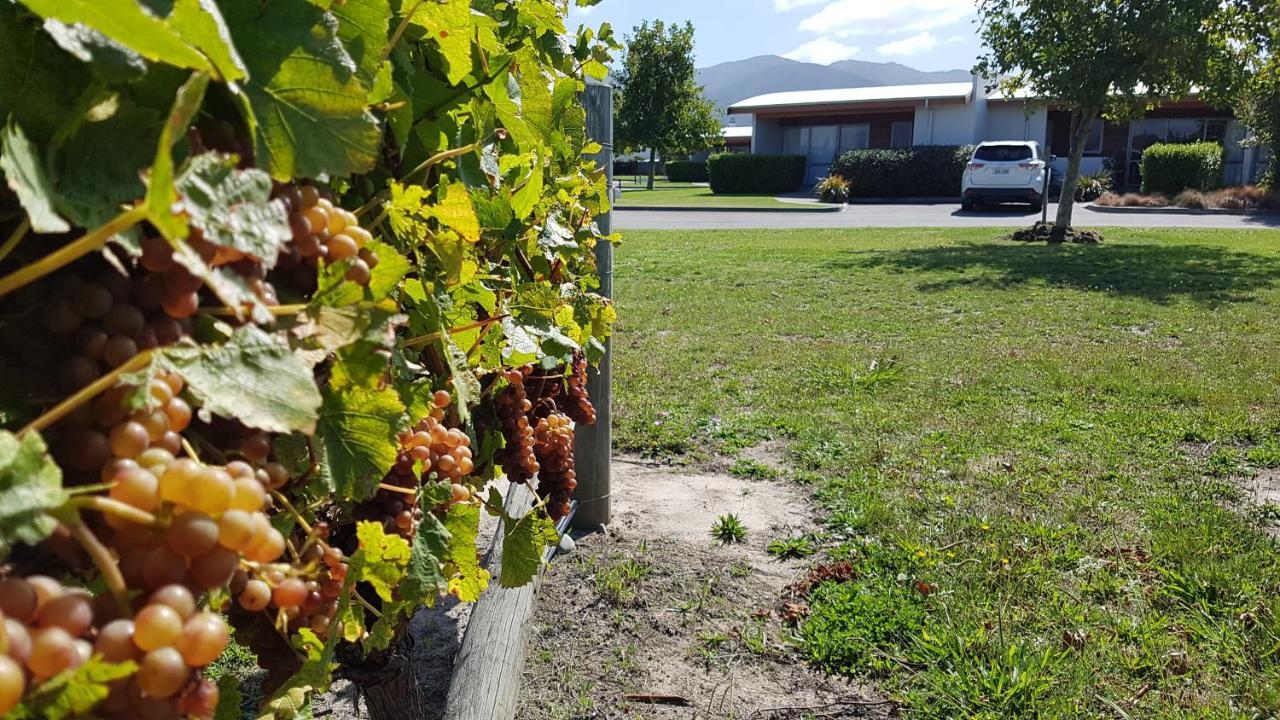 Marlborough Vintners Accommodation Blenheim Esterno foto